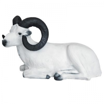 Dallschaf liegend 14.5kg