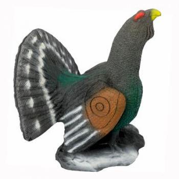 Auerhahn balzend 9kg