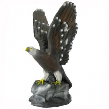 Weißkopfseeadler 17kg