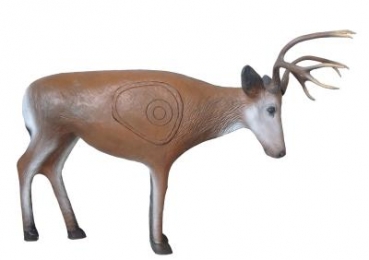 Junger Hirsch kämpfend mit IFAA Insert 20,0 kg