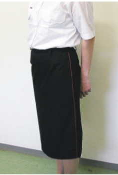 Damen Dienstrock, schwarz