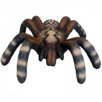 3D-0158 Kleine Vogelspinne 2 kg