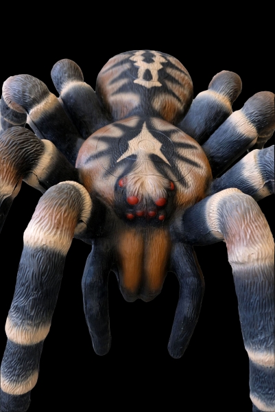 3D-Ziel Vogelspinne 13,0 kg