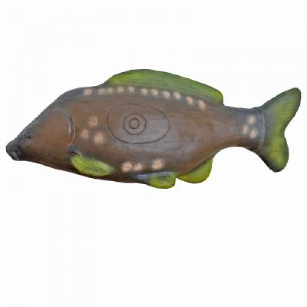 Karpfen 3kg