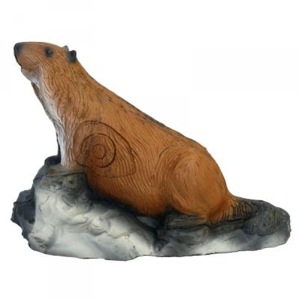Murmeltier laufend 3kg