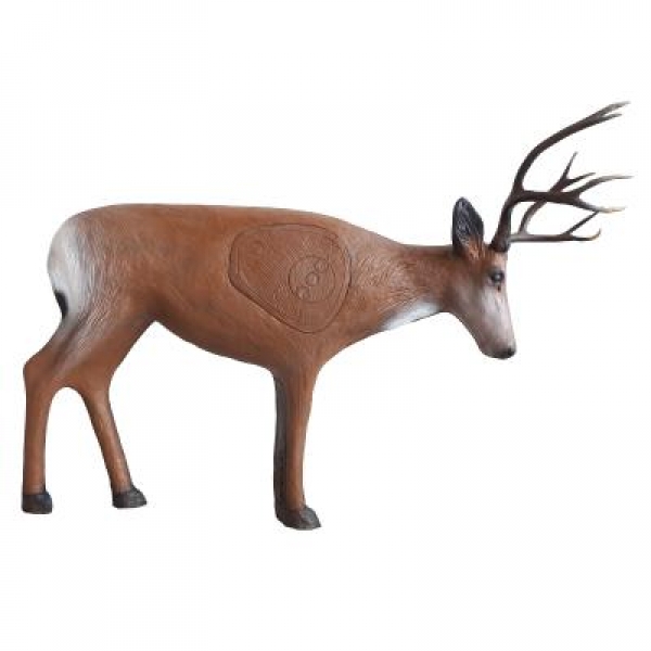 3D-Ziel Junger Hirsch kämpfend mit Universal Insert 20,0 kg